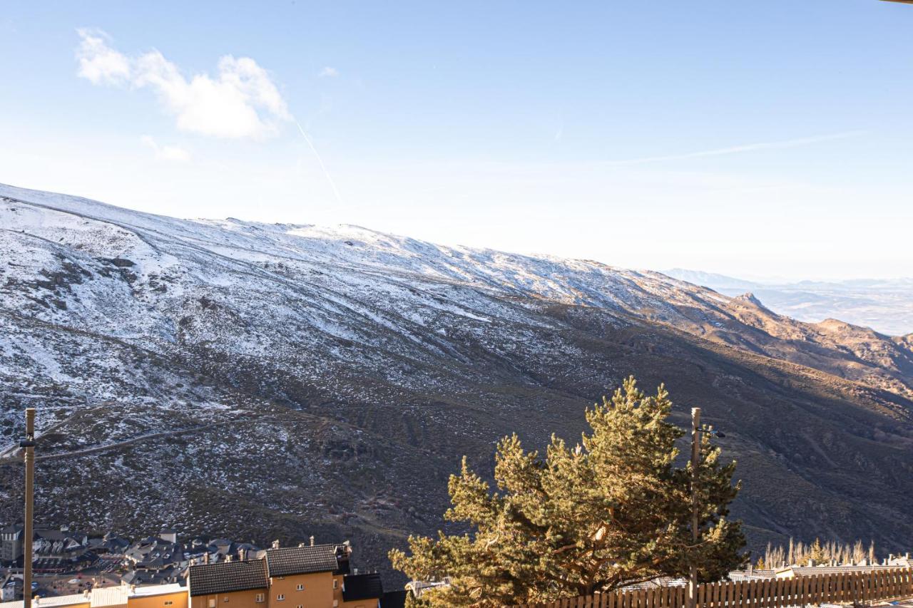 Apartamento Blossom Sierra Nevada Exteriér fotografie
